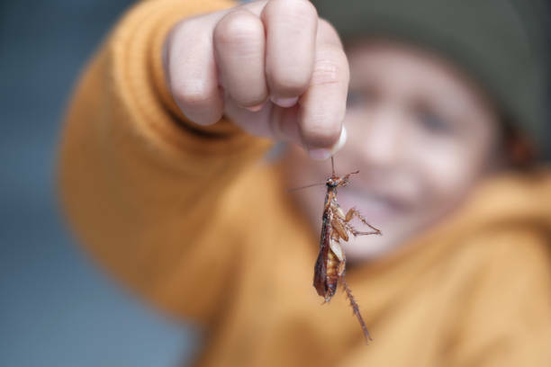 Do cockroaches crawl in your mouth when you sleep